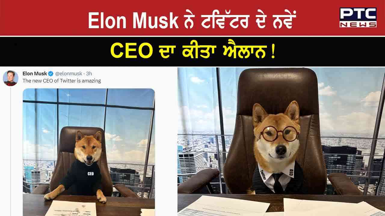  CEO 