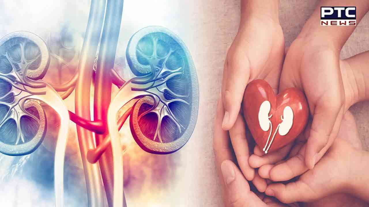 World Kidney Day 2023: Foods to eat for a healthy and repairing kidney