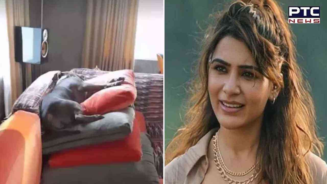 Samantha shares cute picture of her pet Sasha sleeping on couch