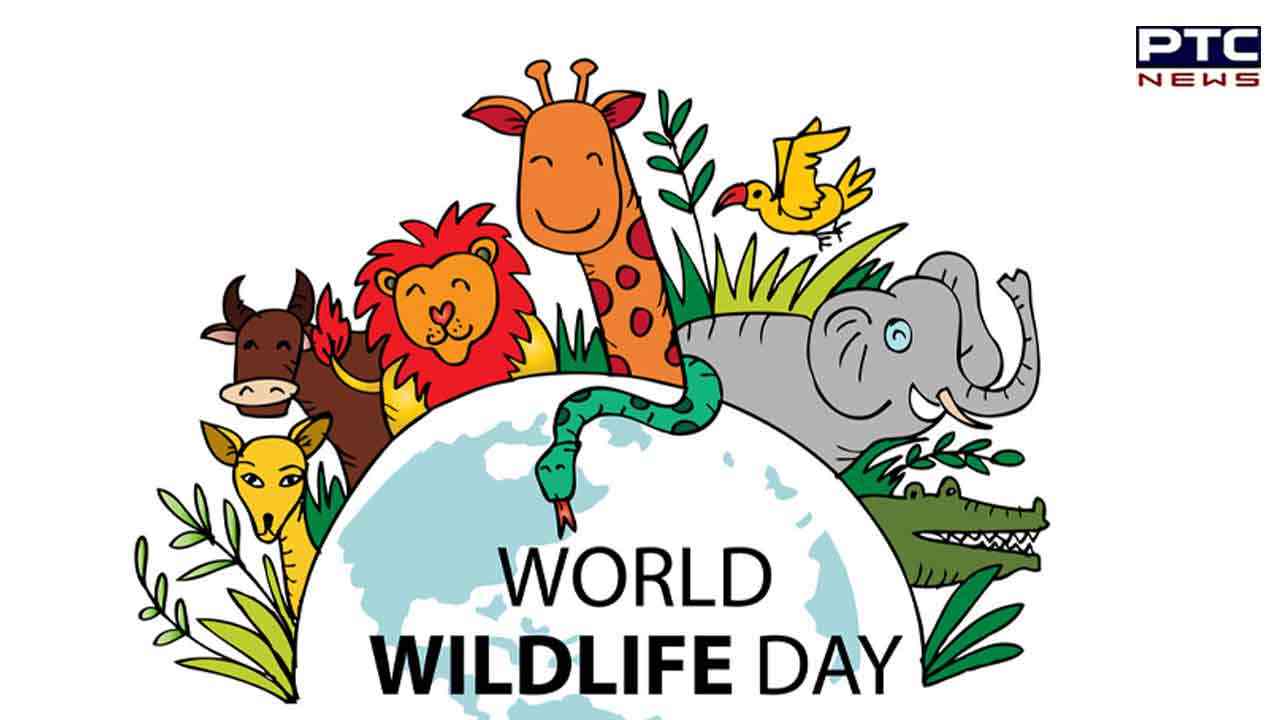 World Wildlife Day 2023: Role species play in ecosystem, needs conservation and protection