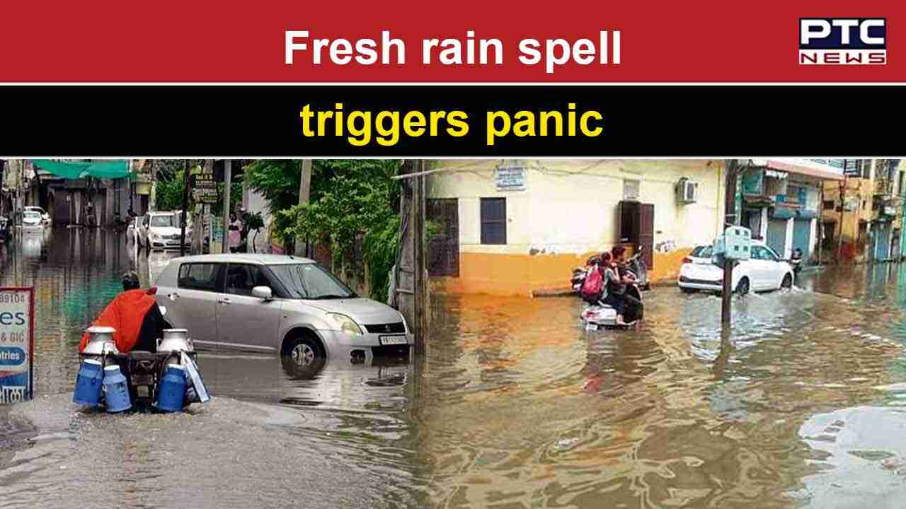 Punjab Heavy rain triggers flooding in Patiala as sewerage lines and