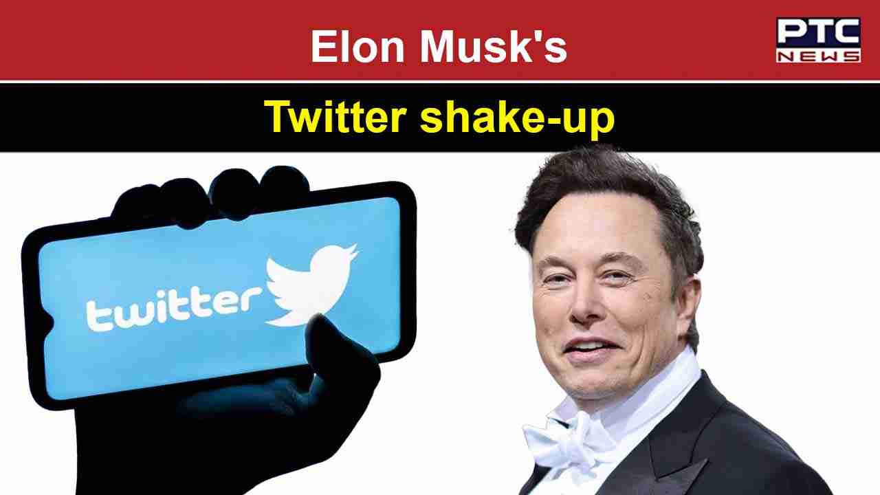 Elon Musk's surprise announcement: Twitter brand and logo set for