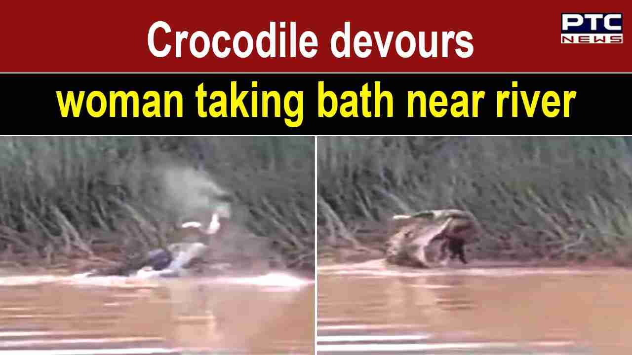 Viral video Crocodile drags woman into river, eats her alive in Odisha