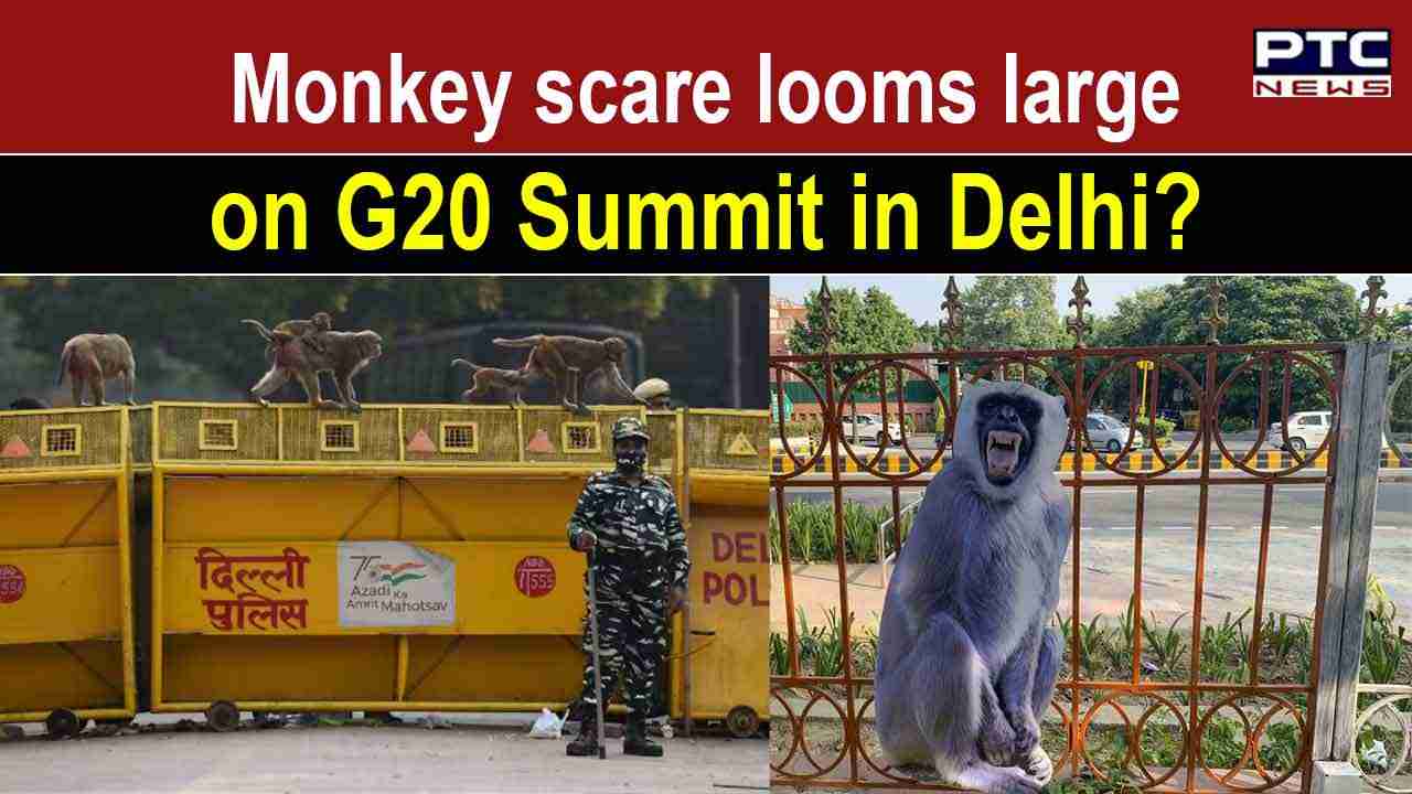 G20 summit's plan to scare off monkeys by mimicking their 'natural