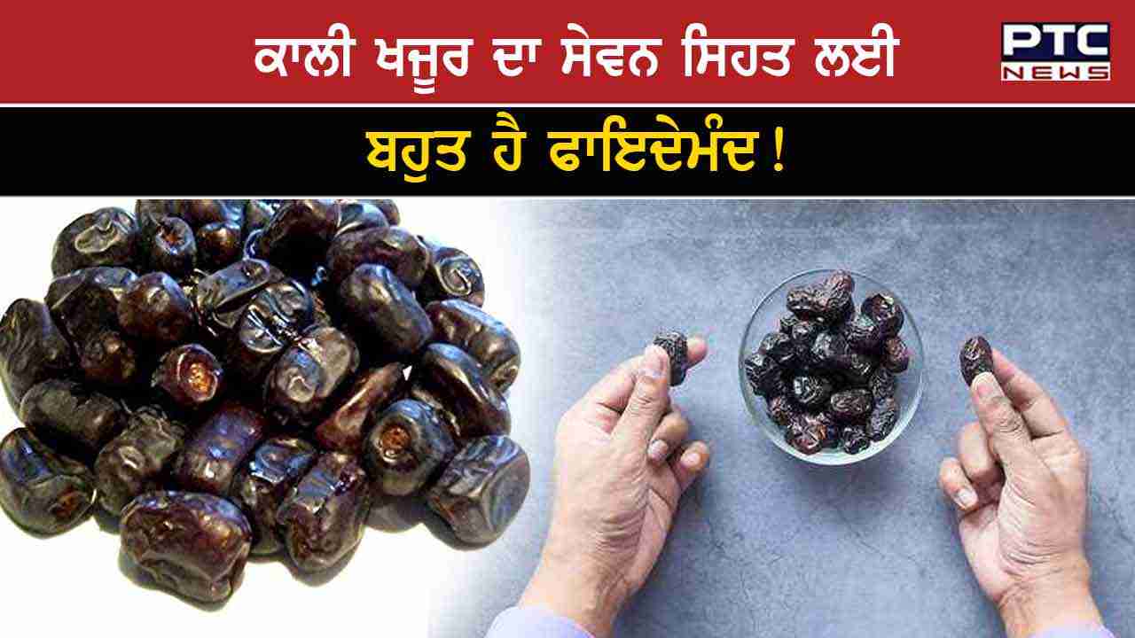 Black Dates Benefits ਕਾਲੀ ਖਜੂਰ ਖਾਣ ਨਾਲ ਸਿਹਤ ਨੂੰ ਕਿਹੜੇਕਿਹੜੇ ਹੁੰਦੇ ਹਨ