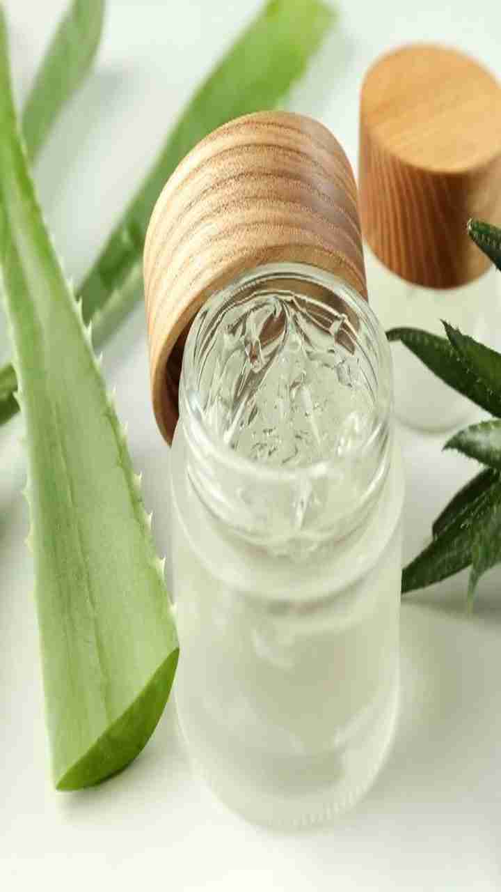 Aloe Vera DIY Treatments for Hair Growth | Web Stories - PTC News