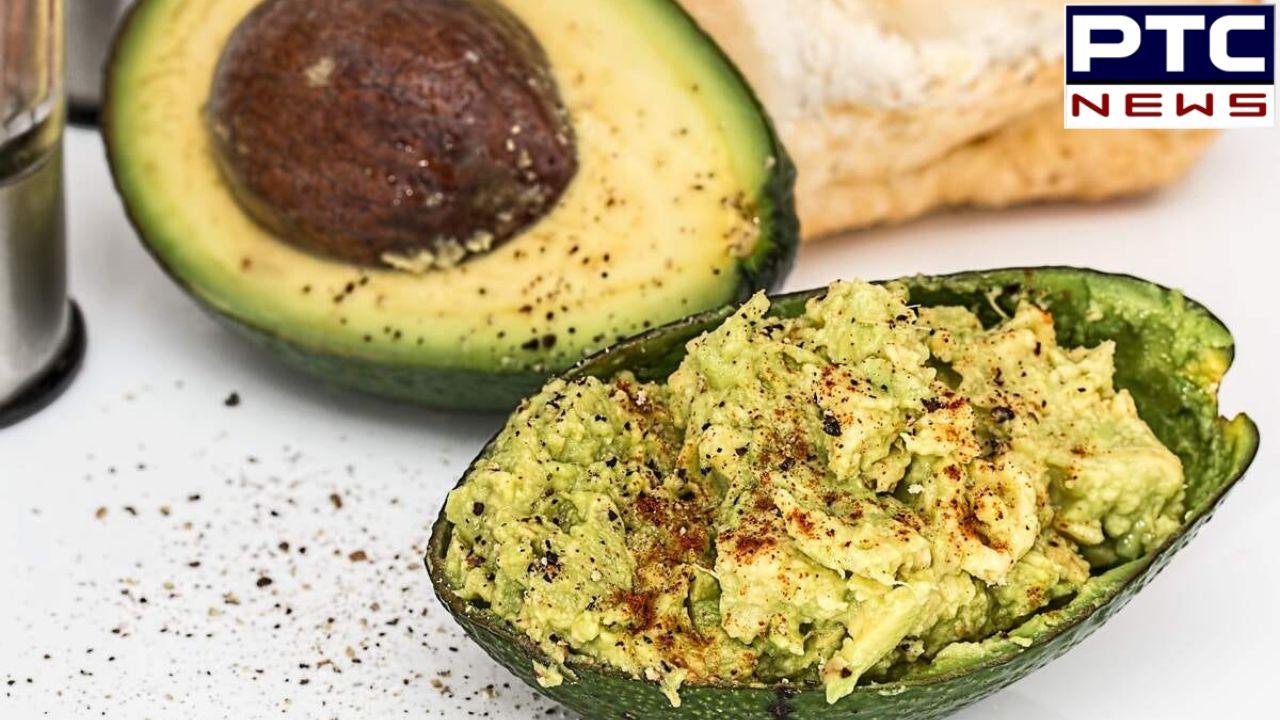 National Avocado Day 2024 ਕਈ ਸਿਹਤ ਸਮਸਿਆਵਾਂ ਨੂੰ ਦੂਰ ਕਰਨ 'ਚ ਲਾਹੇਵੰਦ ਹੈ