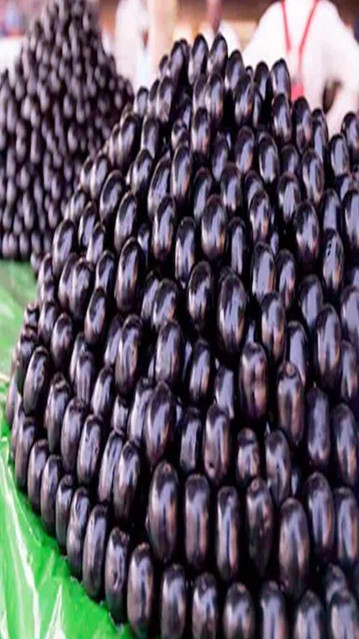 Jamun Health Benefits : ਜਾਮੁਨ ਖਾਣ ਨਾਲ ਸਰੀਰ ਨੂੰ ਹੁੰਦੇ ਹਨ ਹੈਰਾਨੀਜਨਕ ਫਾਇਦੇ