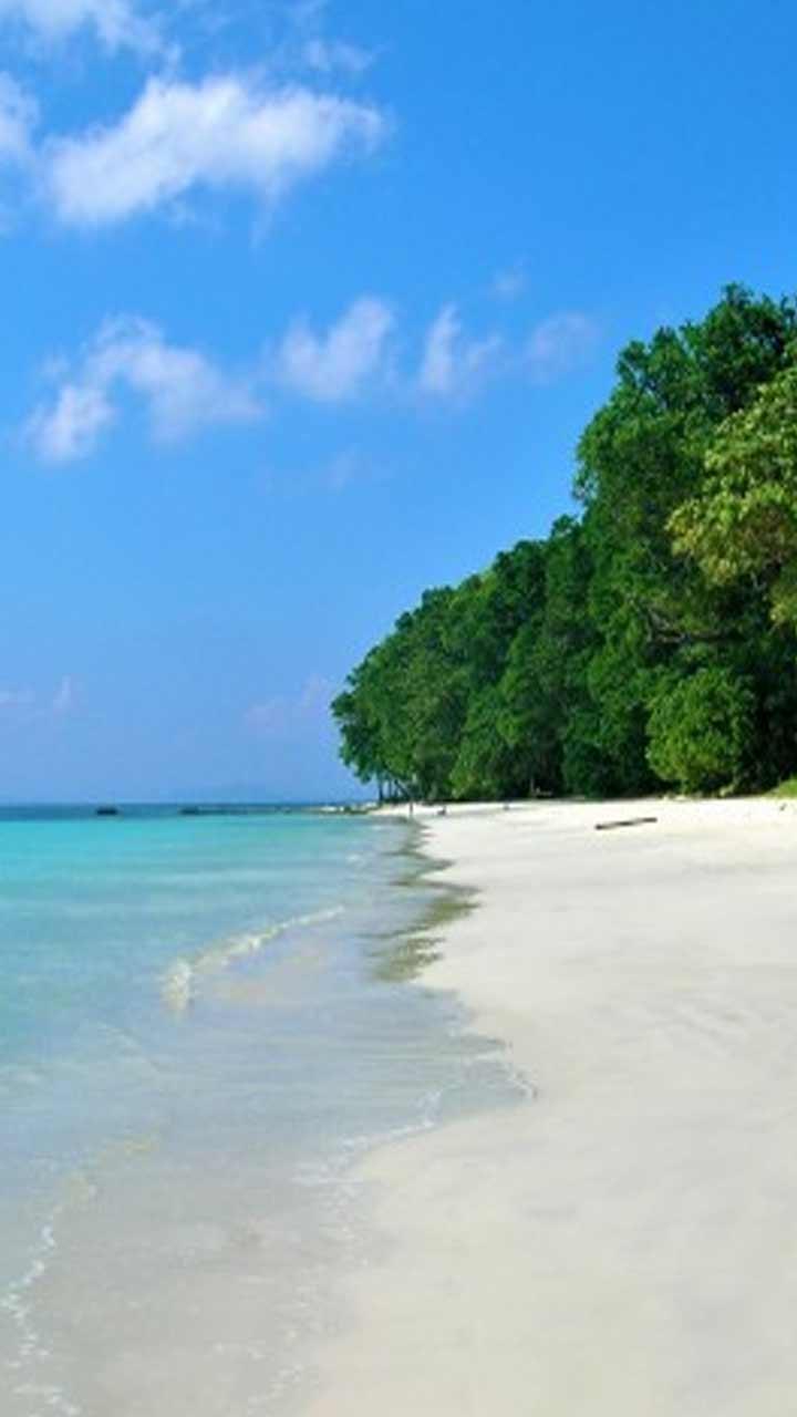 Goa ਹੀ ਨਹੀਂ ਸਗੋਂ ਭਾਰਤ ਦੇ ਇਹ 5 Beaches ਹੈ ਸ਼ਾਨਦਾਰ !