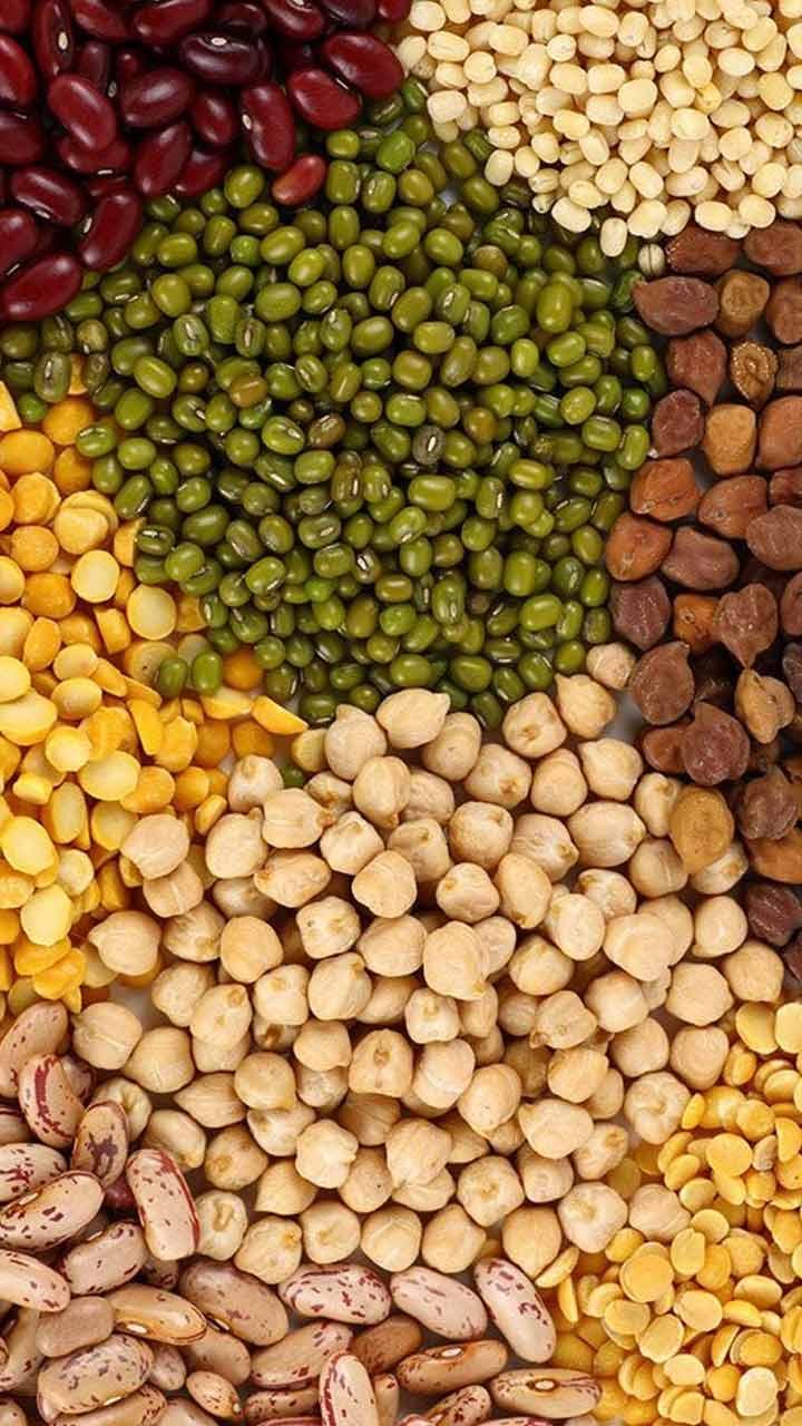 Dal Benefits : ਮਸੂਰ ਤੋਂ ਲੈ ਕੇ ਤੂਰ ਤੱਕ, ਜਾਣੋ ਕਿਹੜੀ ਦਾਲ ਦੇ ਕਿਹੜੇ ਲਾਭ