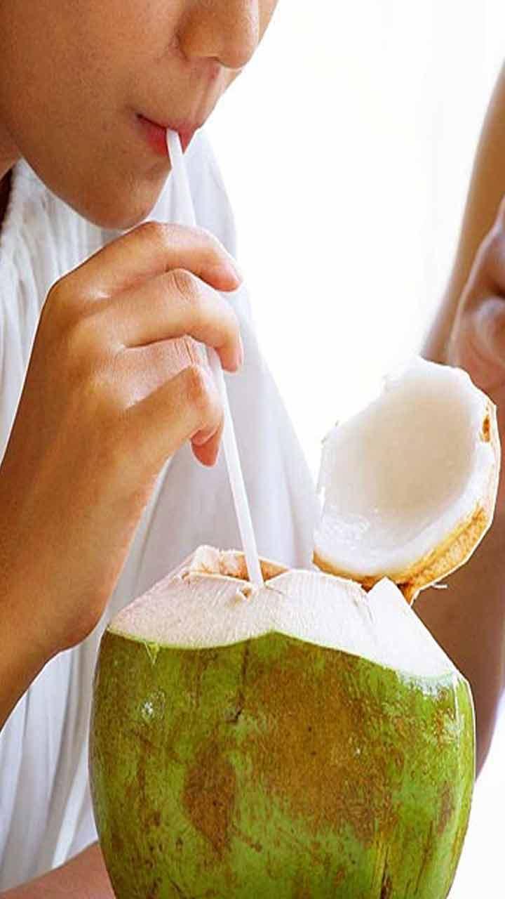 ਨਾਰੀਅਲ ਦੀ ਤਾਸੀਰ ਕਿਵੇਂ ਹੁੰਦੀ ਹੈ, ਠੰਡੀ ਜਾਂ ਫਿਰ ਗਰਮ?