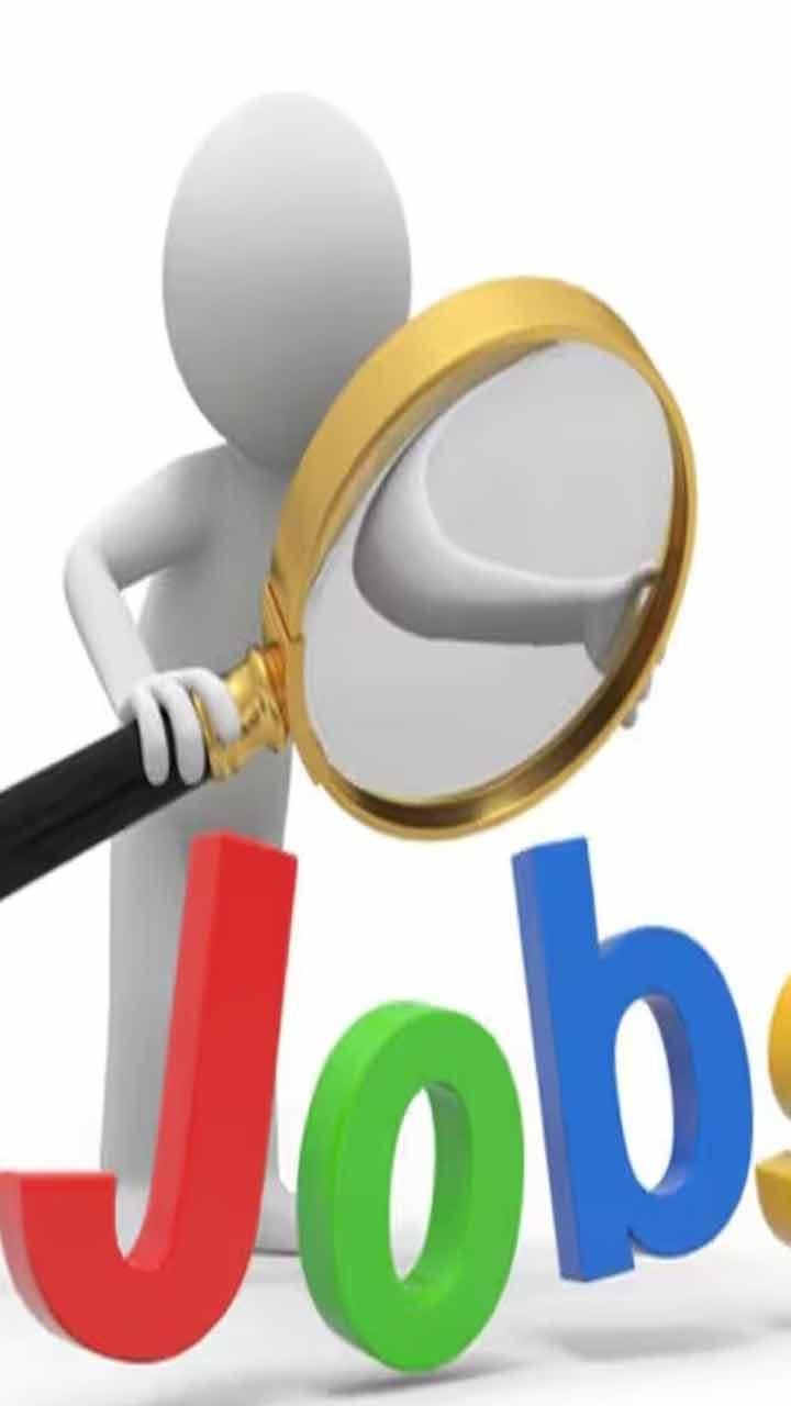 High Paid Jobs For Freshers : ਗਰੈਜੂਏਟ ਫਰੈਸ਼ਰਾਂ ਲਈ ਸਭ ਤੋਂ ਵੱਧ ਤਨਖਾਹ ਵਾਲੀਆਂ ਮੁੱਖ ਨੌਕਰੀਆਂ