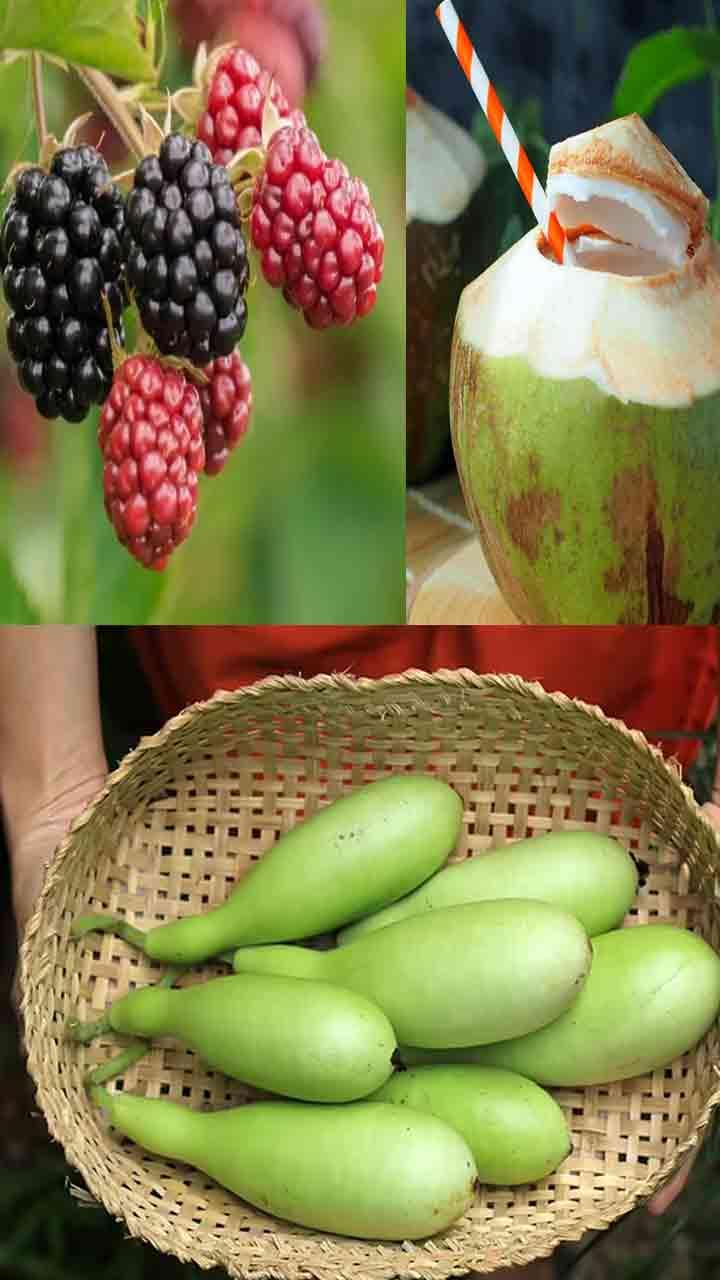 10 Foods in Heatwave : ਤਿੱਖੀ ਧੁੱਪ 'ਚ ਸਰੀਰ ਨੂੰ ਰੱਖਣਾ ਚਾਹੁੰਦੇ ਹੋ ਤਾਜ਼ਾ ਤੇ ਠੰਢਾ, ਤਾਂ ਇਹ 10 ਫਲਾਂ ਦੀ ਕਰੋ ਵਰਤੋਂ