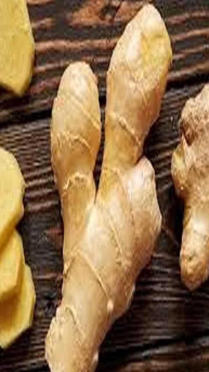 How to Store Ginger : ਅਦਰਕ ਨੂੰ ਲੰਬੇ ਸਮੇਂ ਤੱਕ ਸਟੋਰ ਕਰਨ ਦੇ 6 ਸੌਖੇ ਢੰਗ