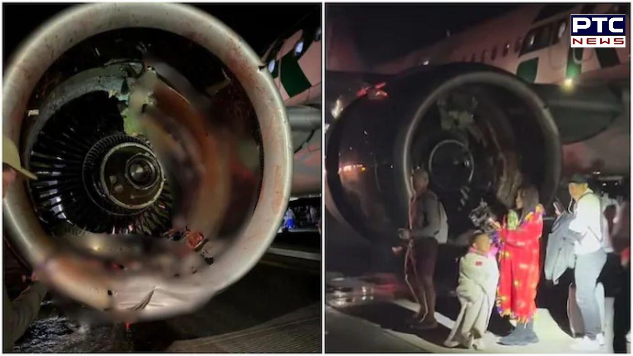 Man killed after being hit by plane at Denver airport, chilling audio of  pilot surfaces: 'We just hit somebody' | World News - PTC News
